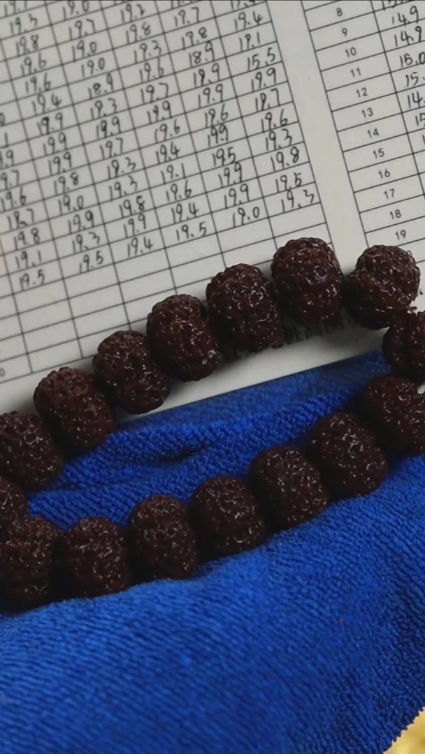 【闪购商品】金刚菩提吊坠玺呈枝蓝•五面枝蓝一号19mm