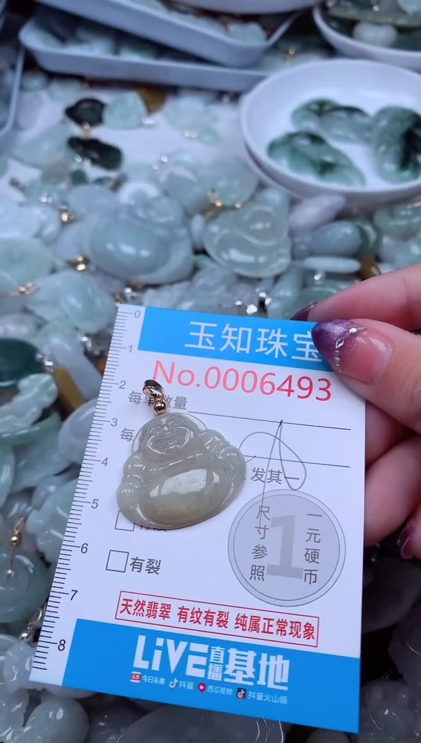 翡翠未镶嵌吊坠(不含链)493