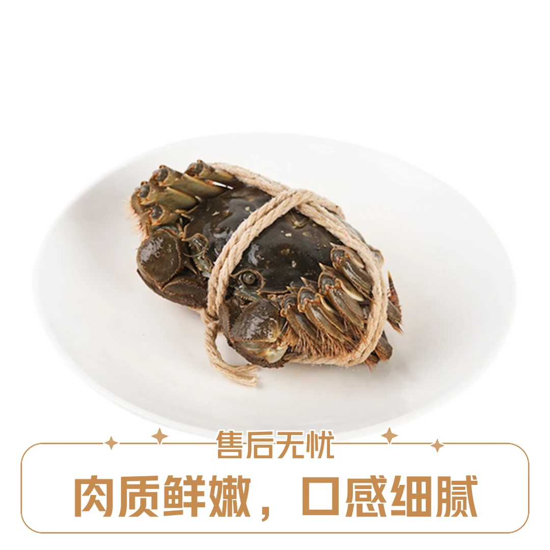 清蒸母蟹1.6-1.8两/只（足斤足两，送蟹醋，活蟹现蒸）