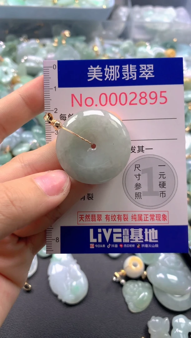 颈饰未镶嵌翡翠2895