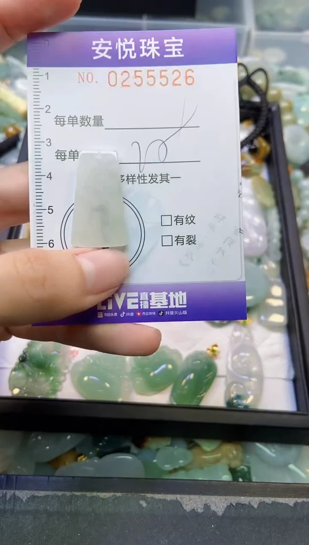 颈饰未镶嵌翡翠闪购0255526
