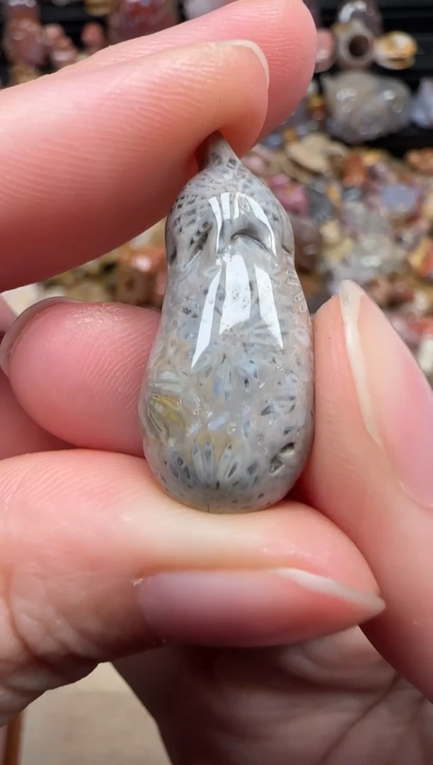 颈饰未镶嵌硅化珊瑚（珊瑚玉）778