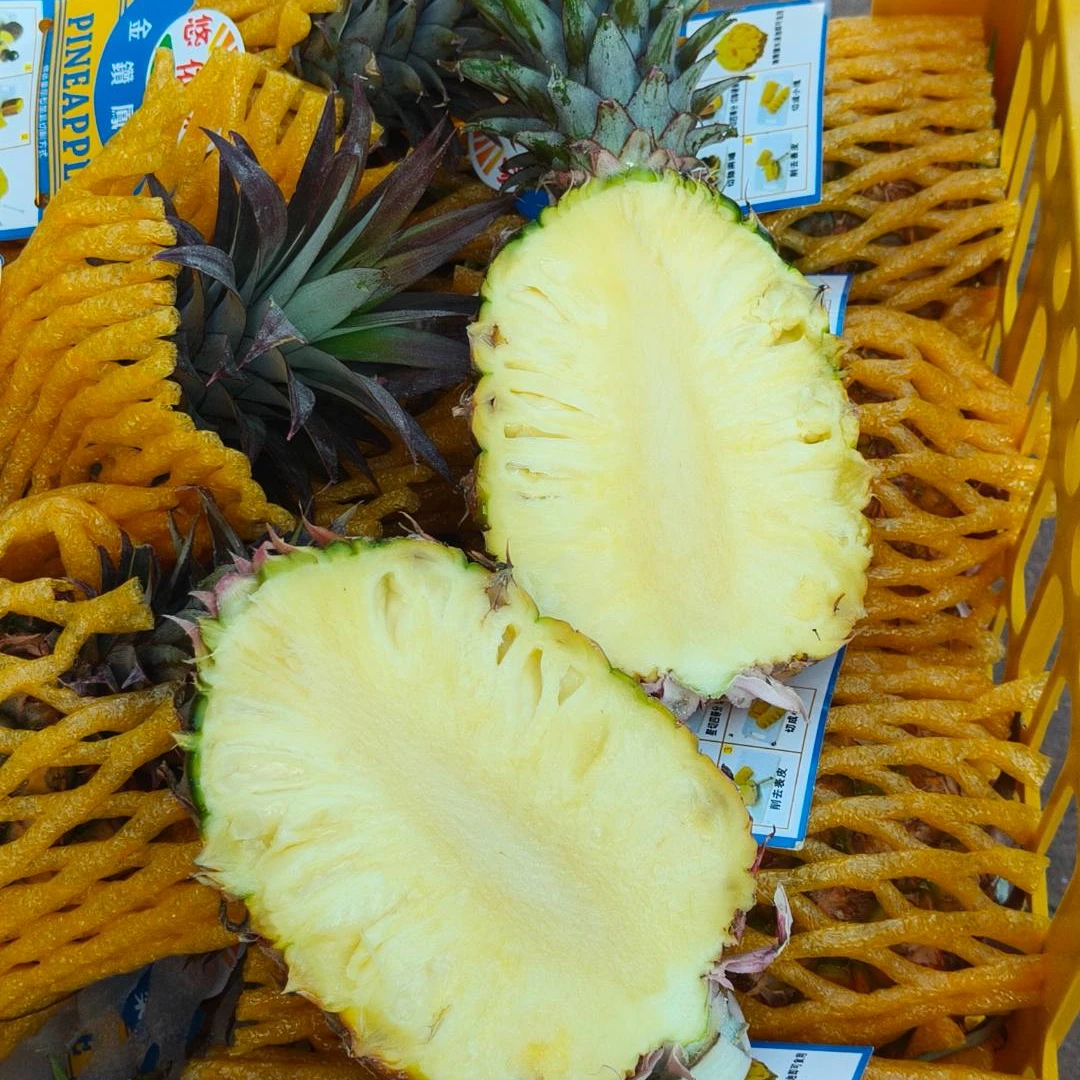 【鲜果速送】海南树熟金钻凤梨一个（个头不大介意慎拍）