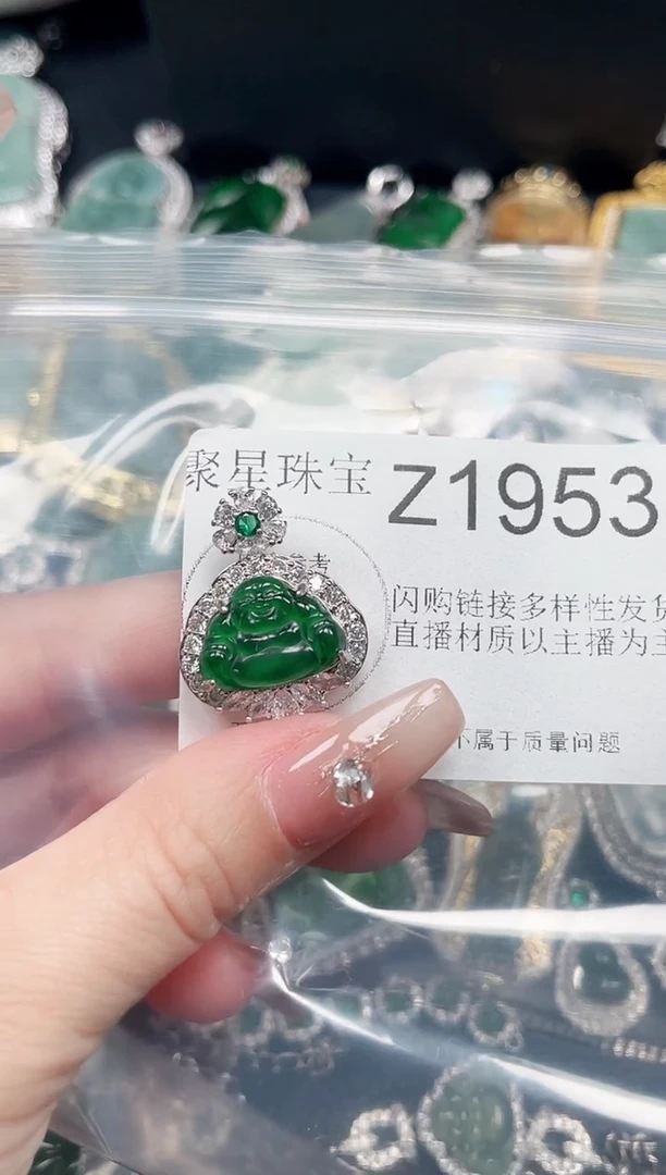 【闪购商品】翡翠颈饰未镶嵌赠皮绳1953