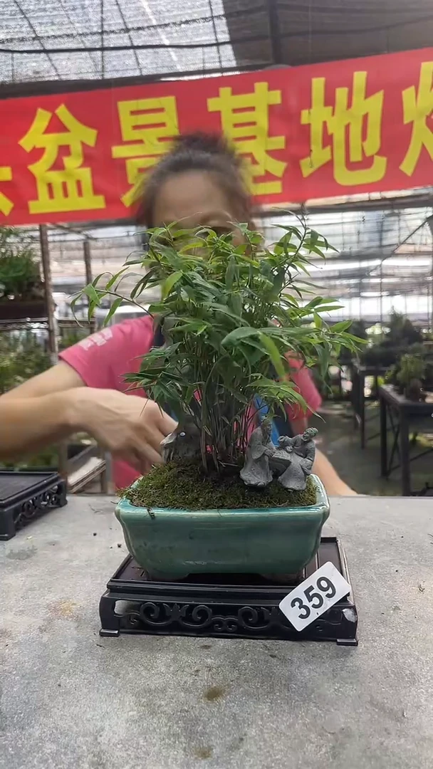 无花朵用****7359