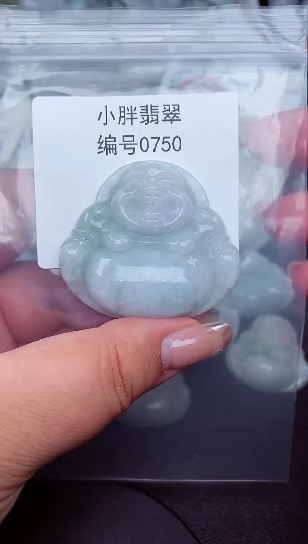 翡翠未镶嵌颈饰缅甸天然A货翡翠0750
