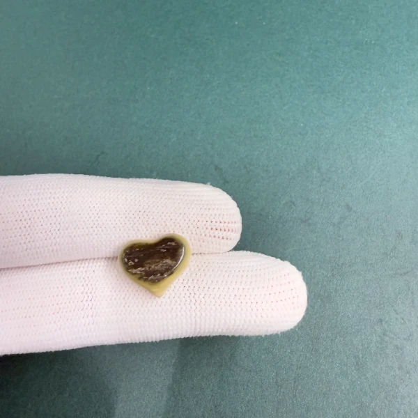 D1263天然猛犸牙爱心配饰 支持鉴定 假一罚四