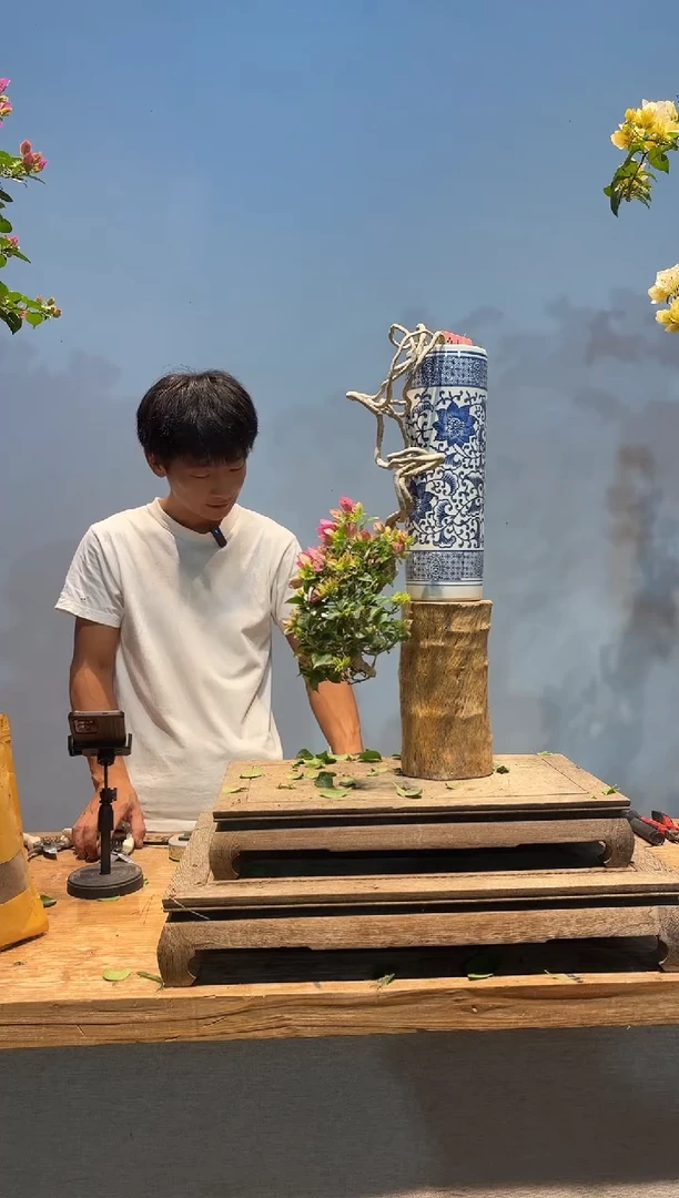 无花朵世****师三角梅专场一物一拍41