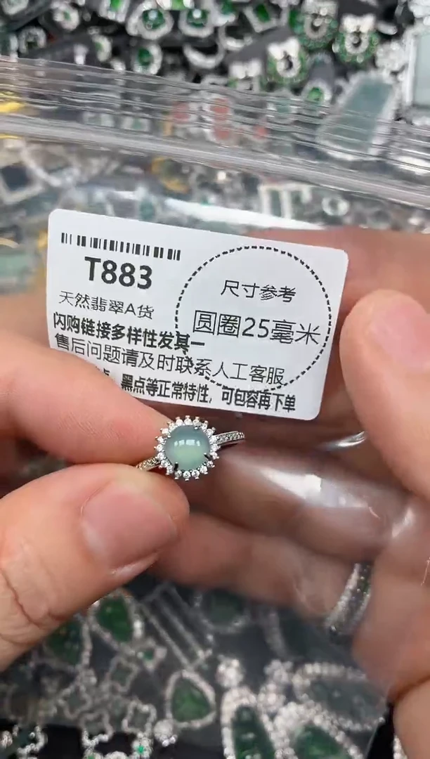 翡翠未镶嵌颈饰T883戒指