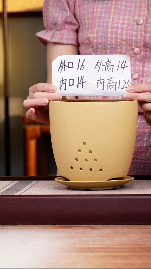 紫砂花盆段泥君子兰2号一只带托