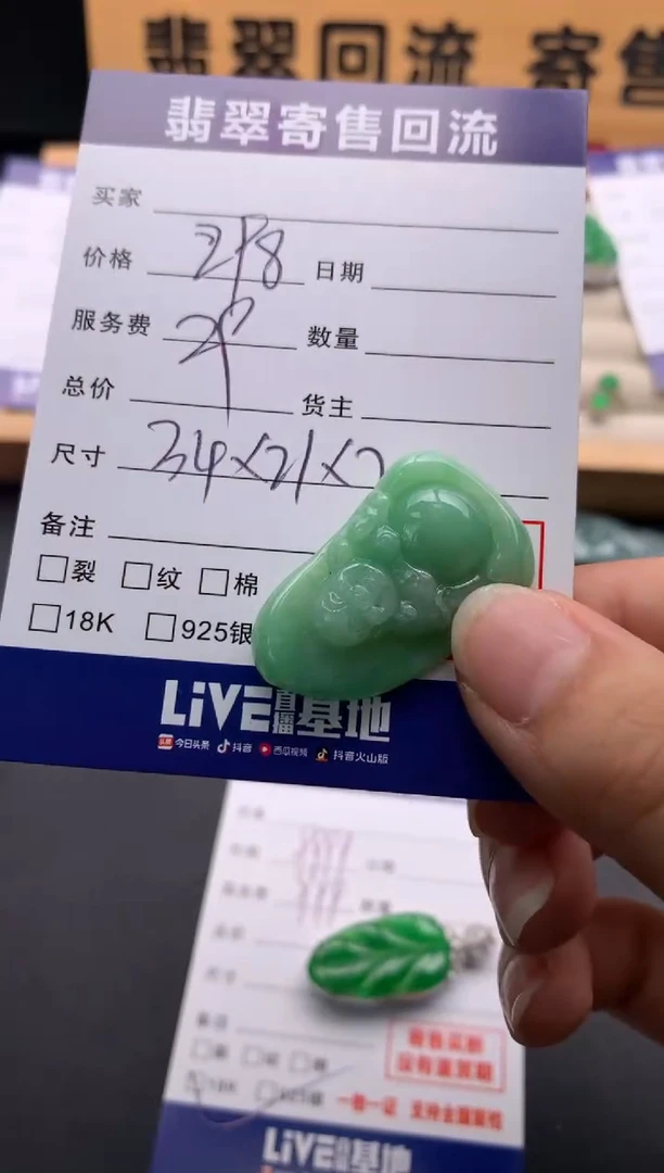 翡翠未镶嵌颈饰10139178