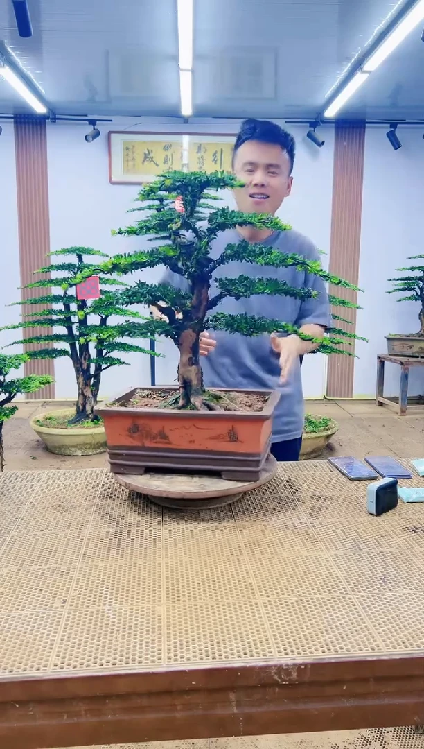 无花朵00000000000000