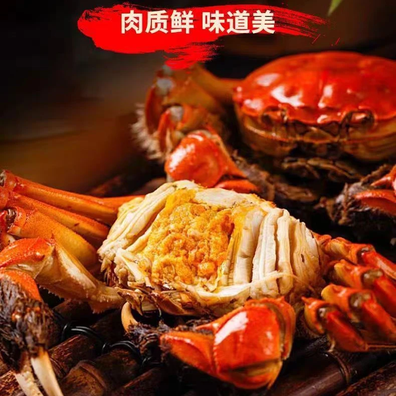 兴化鲜活大闸蟹3.5两母蟹4.5两公蟹6只礼盒装9指