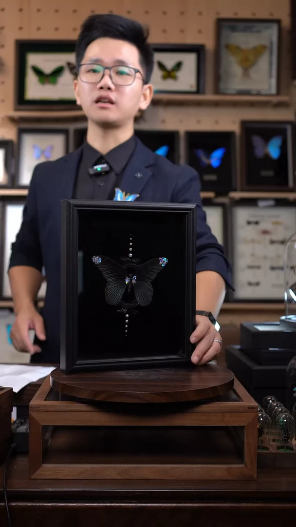 美凤蝶巴洛克款10寸欧式框