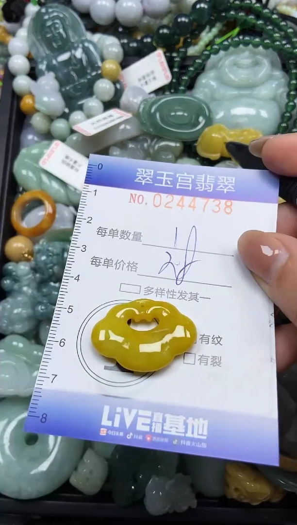 颈饰未镶嵌翡翠闪购C0244738