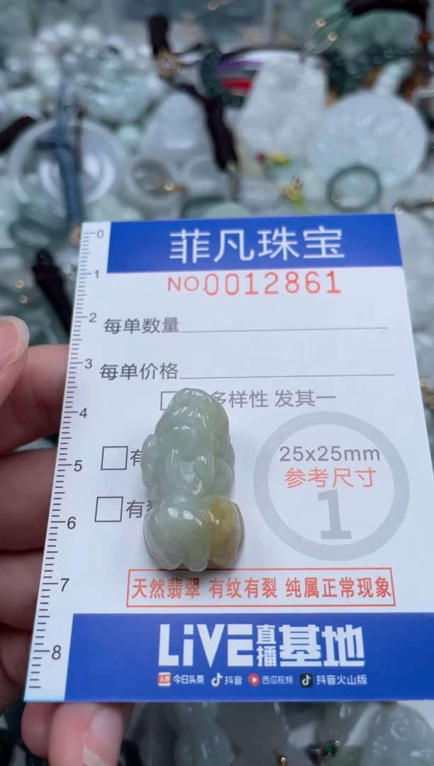 颈饰未镶嵌翡翠12861