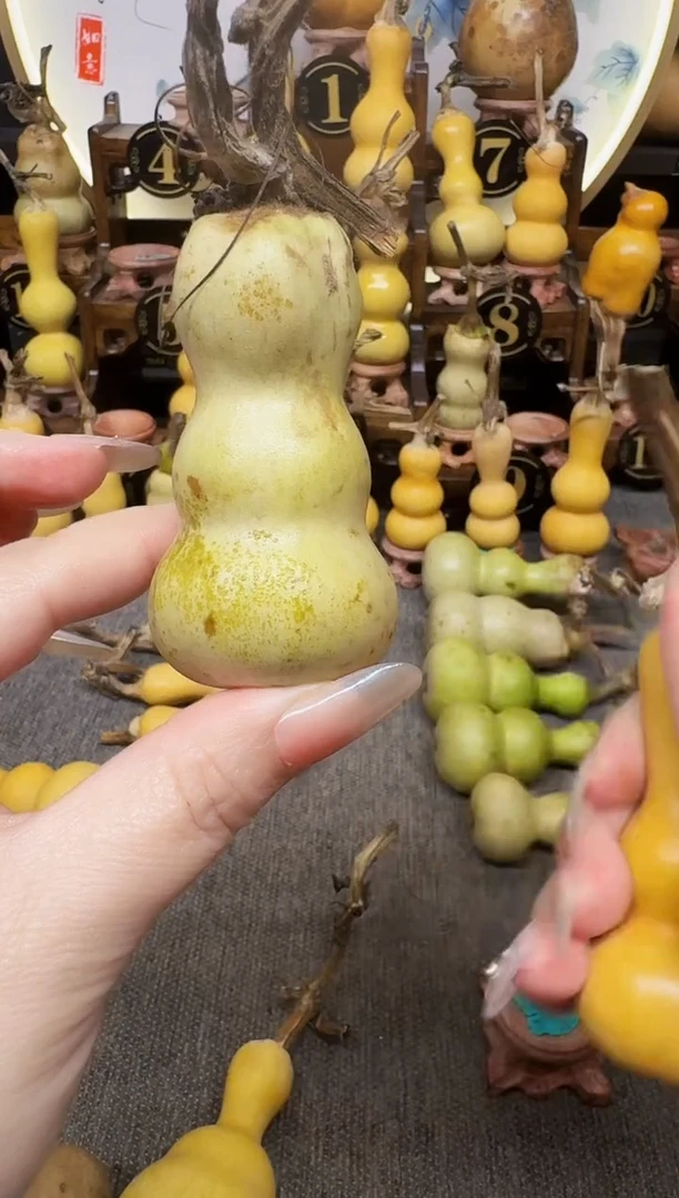 朵*啦葫芦福禄葫芦葫芦