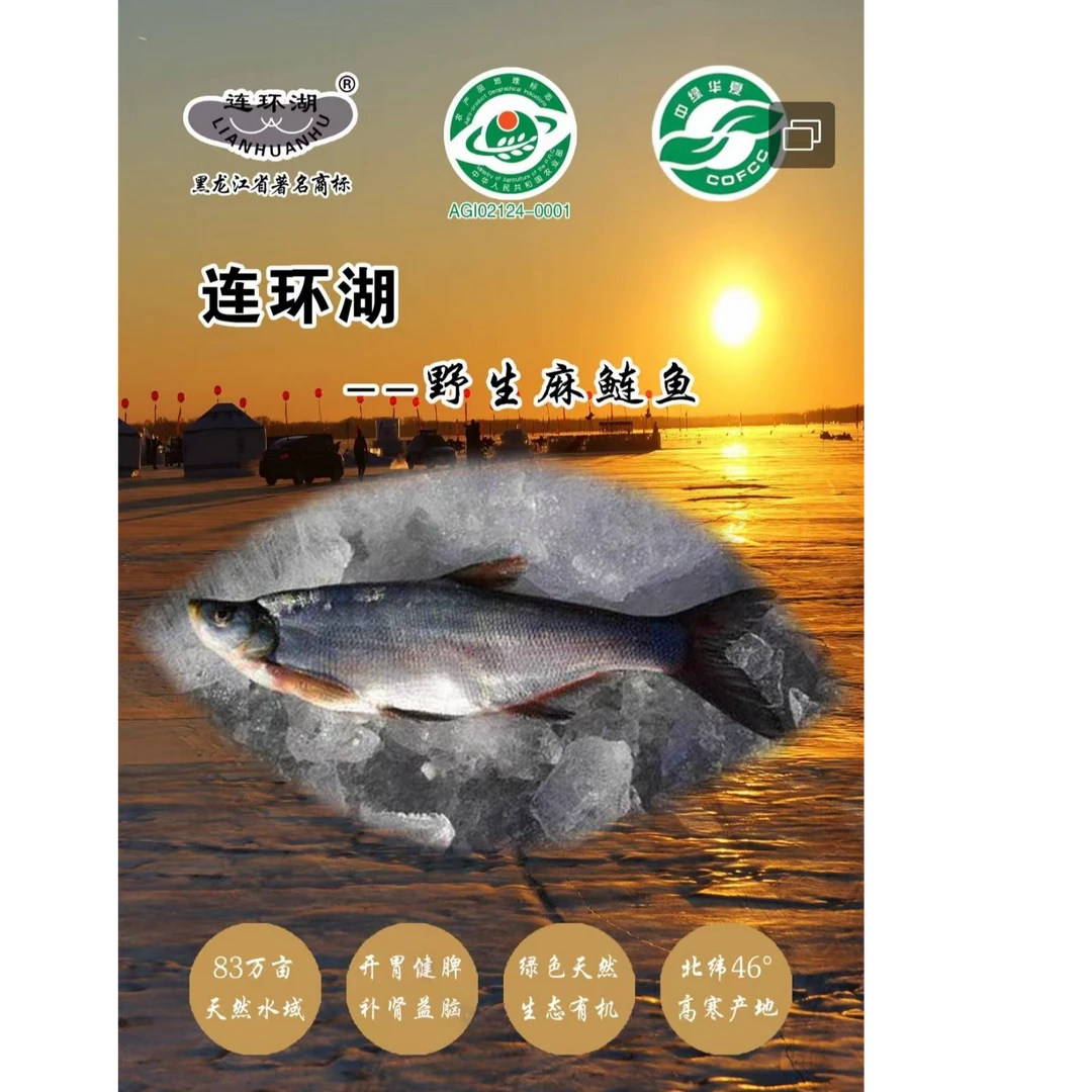 连环湖野生麻鲢鱼鲅鱼（去鳞去鳃去内脏）