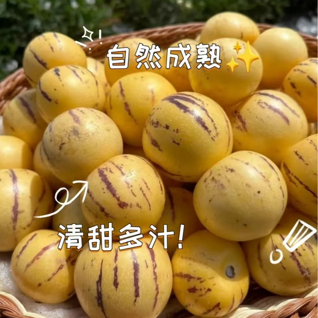 （果甄鲜）人参果3斤(果子小 轻微花皮 介意勿拍）