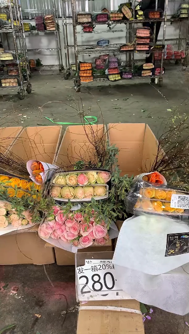 280号♥中通不指定随机颜色含20%耗损发一箱鲜花