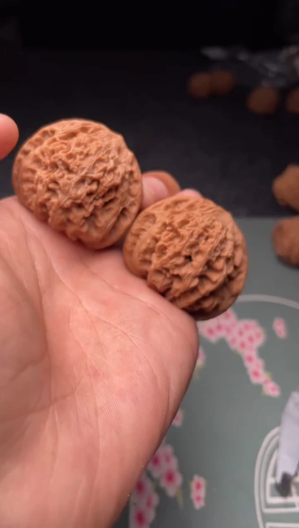 核桃a49  龙洞玉 42尺