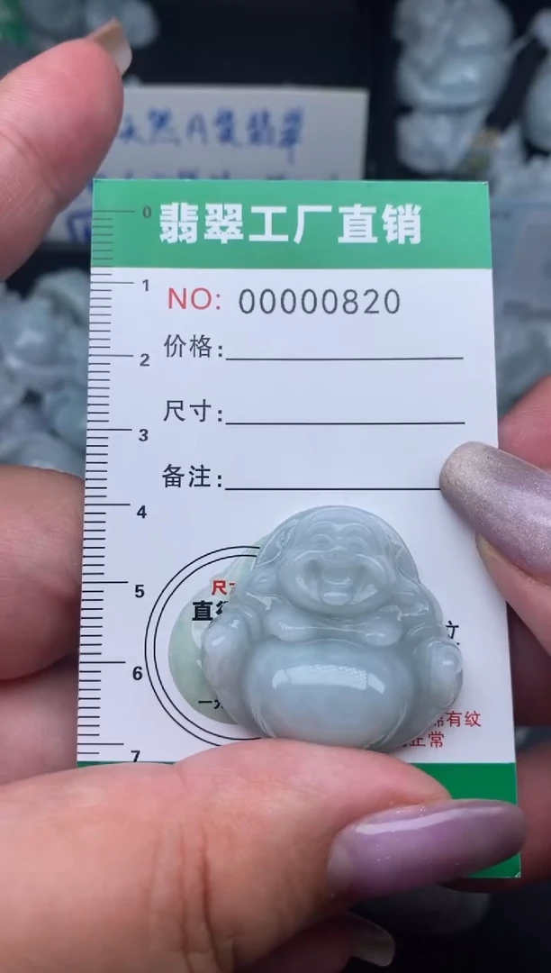 翡翠未镶嵌颈饰缅甸天然A货翡翠0820