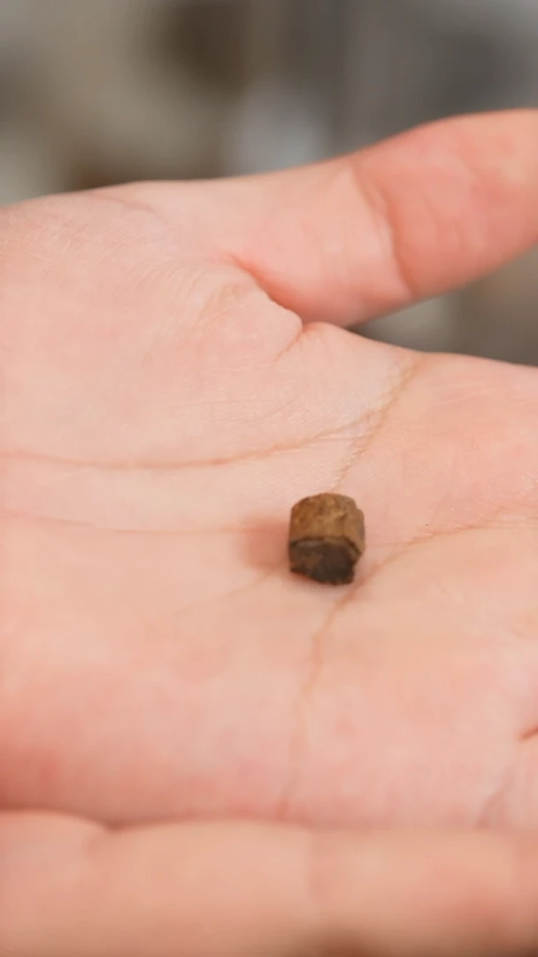 沉香沉香碎屑富森红土沉水料0.36克