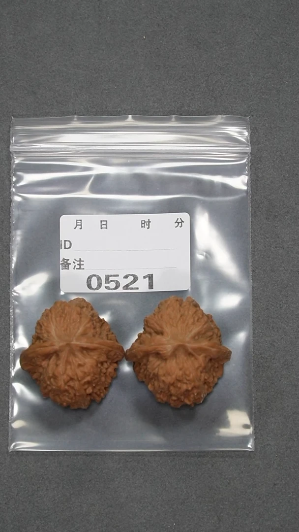 【闪购商品】文玩核桃把件39平谷凹底
