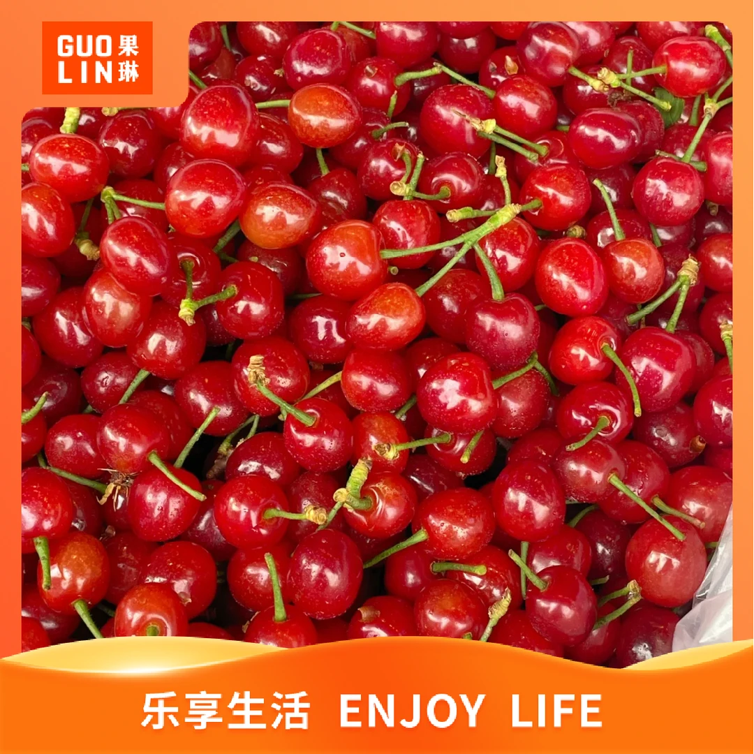 【春季上新】红玛瑙樱桃L 200g起其他品种其他品种