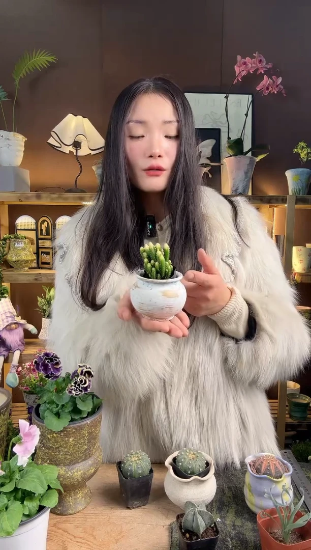 以实际为准梅****子万重山加盆一套469