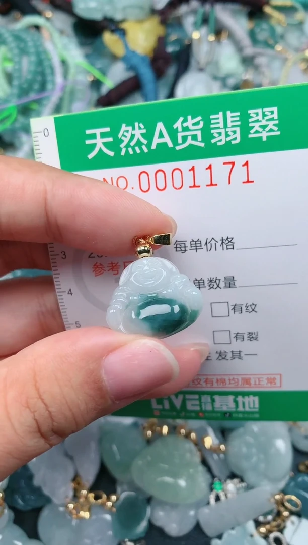 颈饰未镶嵌翡翠.0001171