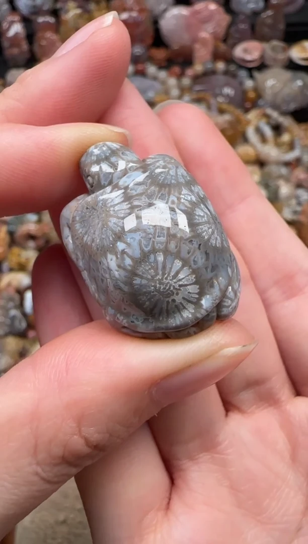 颈饰未镶嵌硅化珊瑚（珊瑚玉）195