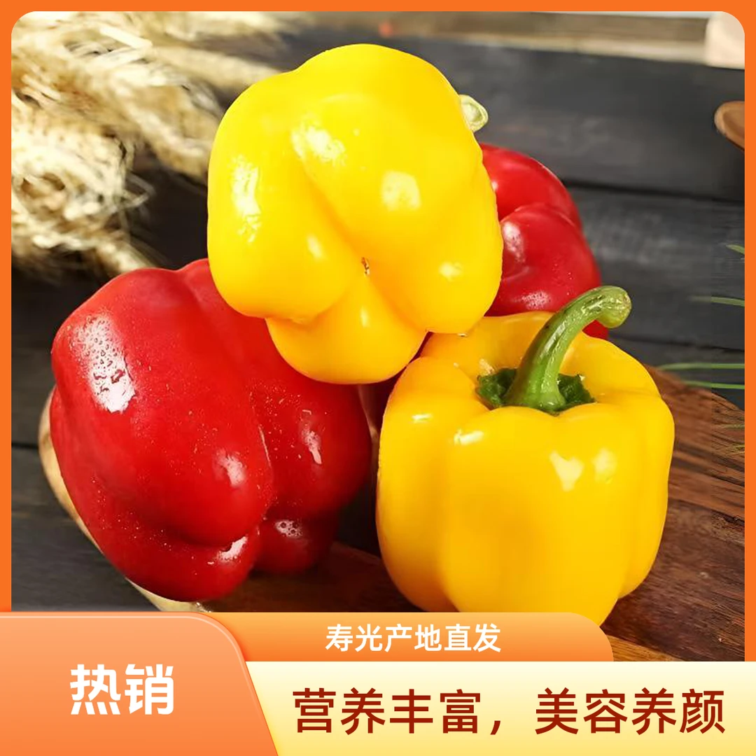 【现摘现发】水果五彩椒红黄双色新鲜应季生吃不辣
