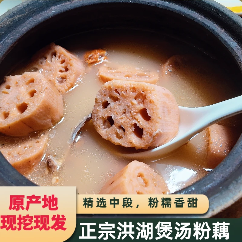 洪湖莲藕煲汤粉藕带泥发货新鲜莲藕