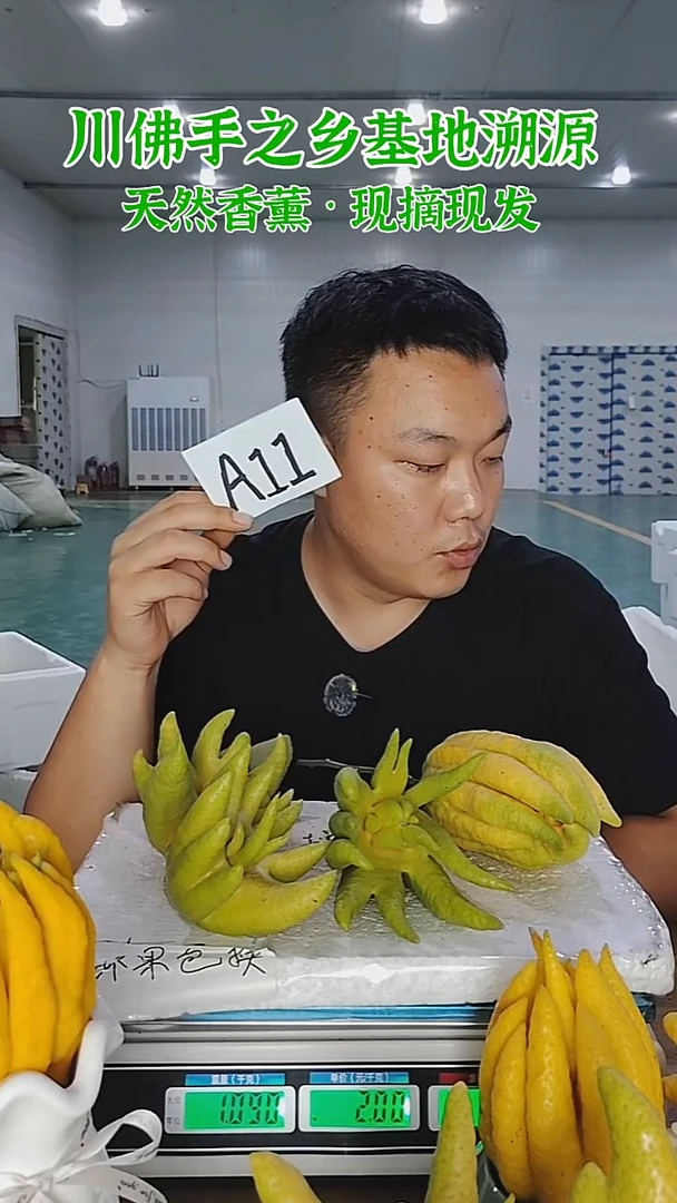 柑橘【一物一拍】川佛手柑鲜果带枝高山佛手柑A11