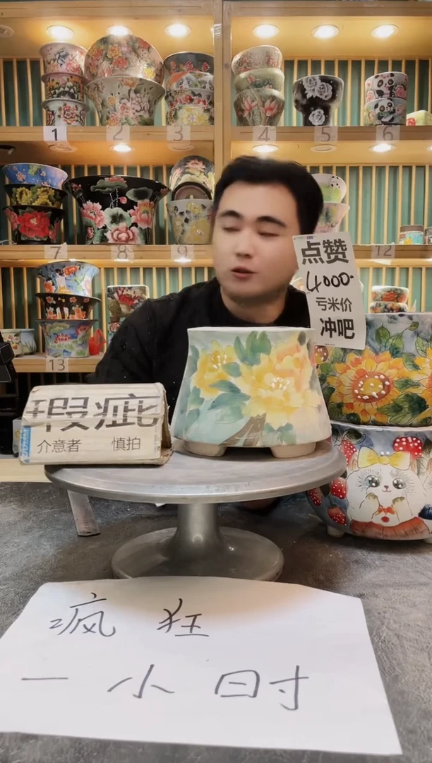 瓷片默认微瑕一物一拍1122-174
