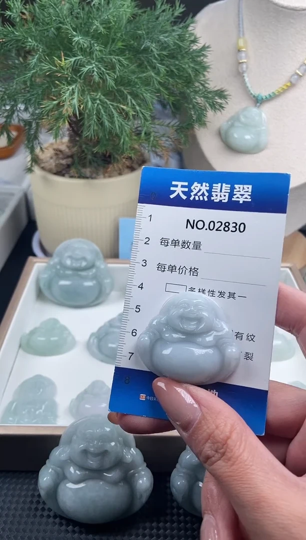 颈饰未镶嵌翡翠纯天然A货翡翠2830