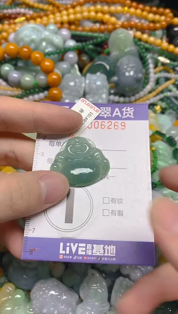 颈饰未镶嵌翡翠0006269