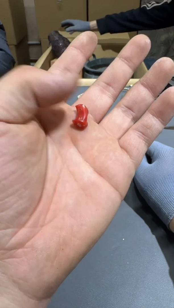 【闪购商品】杯小四孤品收藏中古品