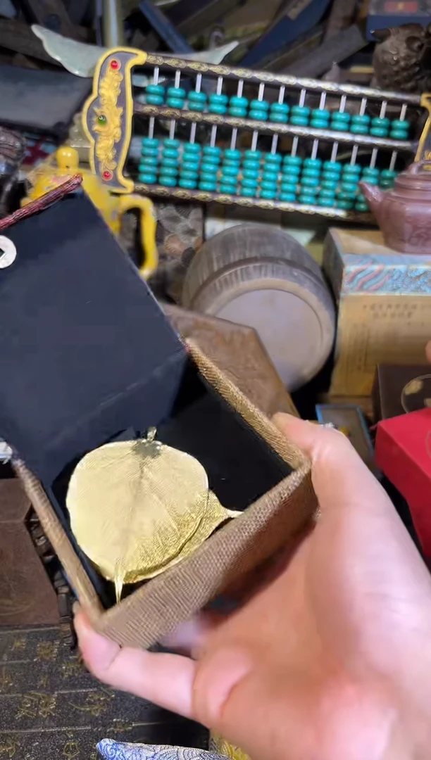 黄杨木11111111111111111111