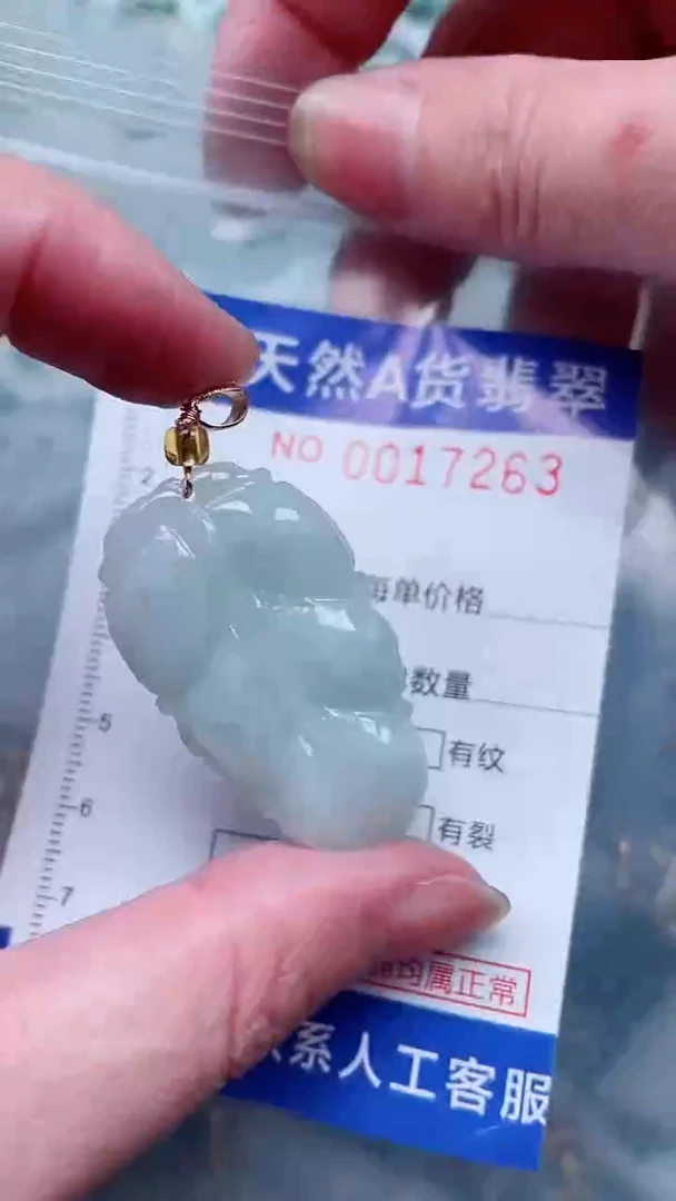 翡翠未镶嵌吊坠(不含链)1