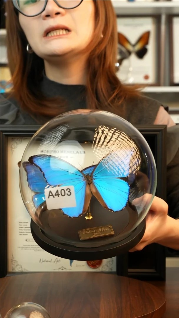 大蓝闪蝶（玻璃球款）A403