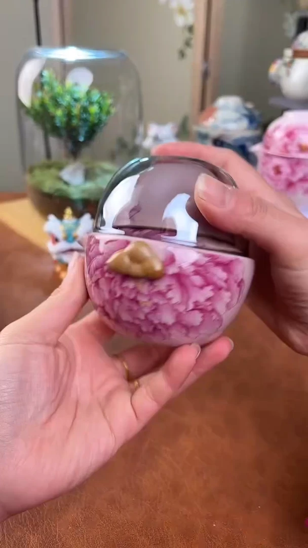 【闪购商品】老实人茶具铺快客