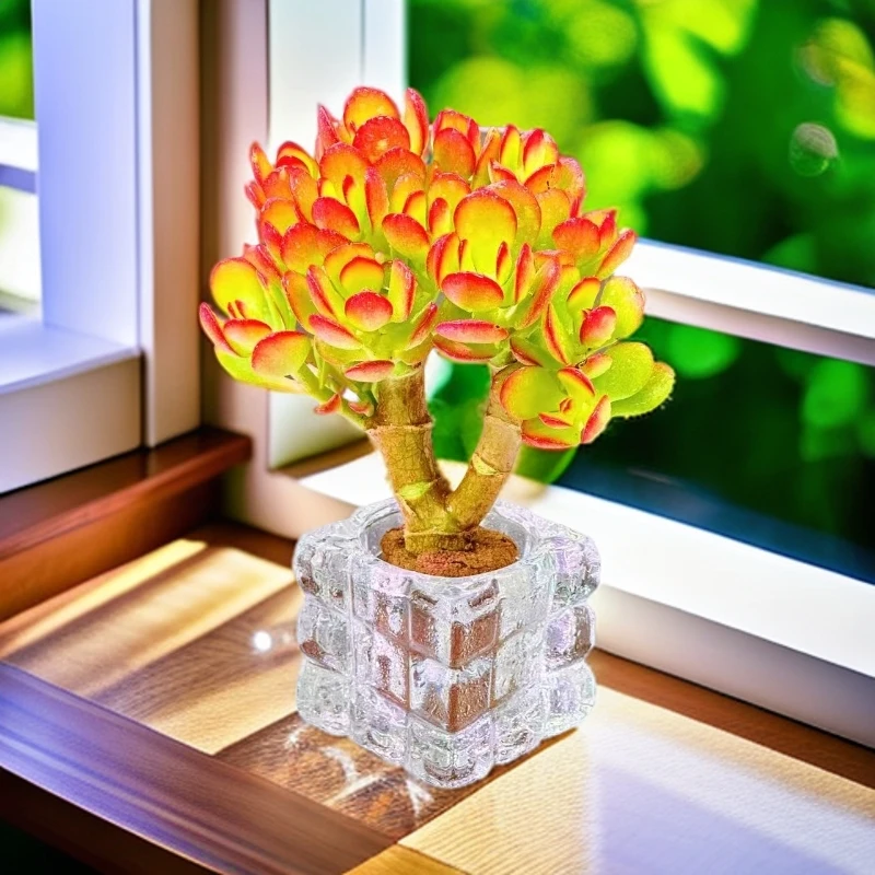 无土摇钱树2颗(含白冰四方杯