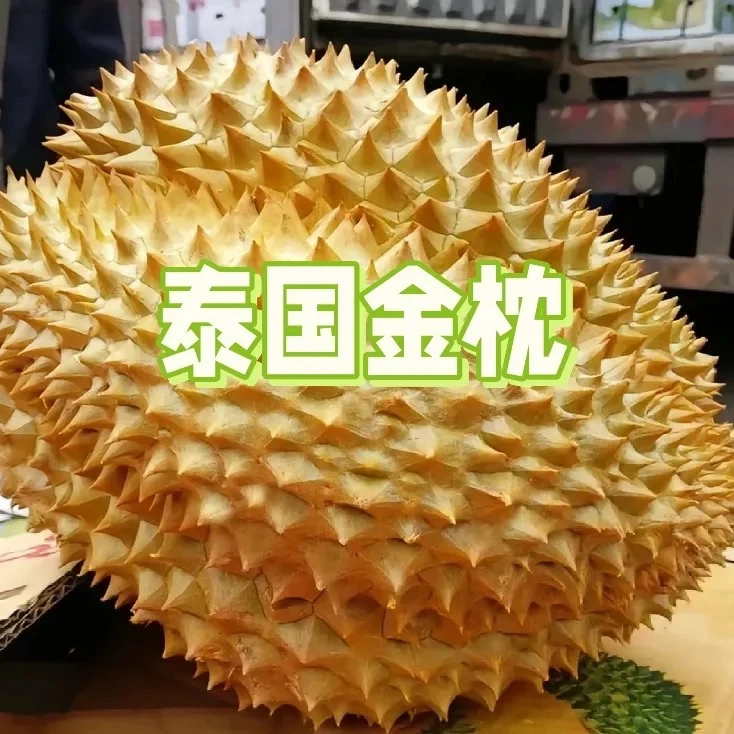 泰国树熟新鲜榴莲 4—10斤 肉大核小树熟泰国