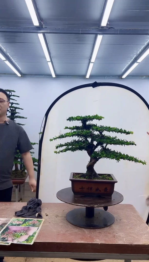 无花朵一物一拍，所见即所得
