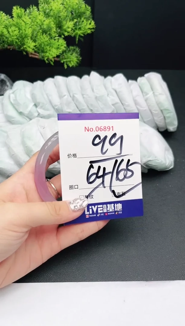 未镶嵌手镯翡翠06891