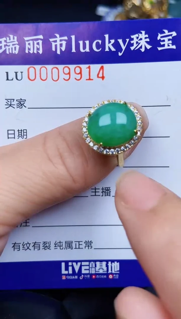 翡翠银S925镶嵌颈饰9914