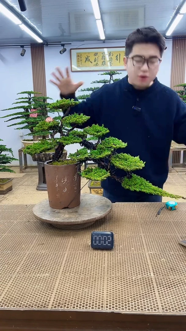 无花朵000000000000