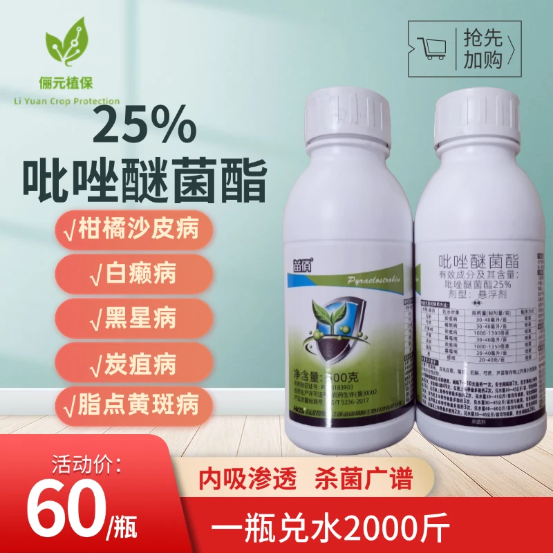 苗俏25%吡唑醚菌酯防治柑橘白癞病疮痂病砂皮病叶斑病内吸渗透